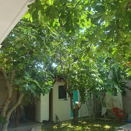 Casa Zen