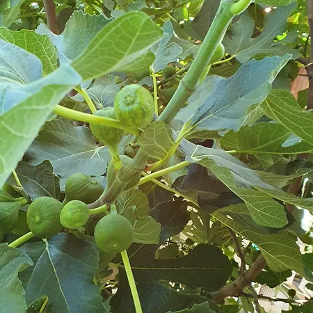 홈스테이 Casa Zen *